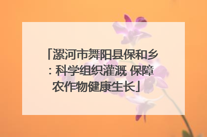 漯河市舞阳县保和乡：科学组织灌溉 保障农作物健康生长