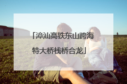 漳汕高铁东山跨海特大桥栈桥合龙