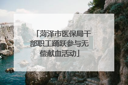 菏泽市医保局干部职工踊跃参与无偿献血活动