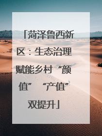 菏泽鲁西新区：生态治理赋能乡村“颜值”“产值”双提升