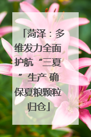 菏泽:多维发力全面护航“三夏”生产 确保夏粮颗粒归仓