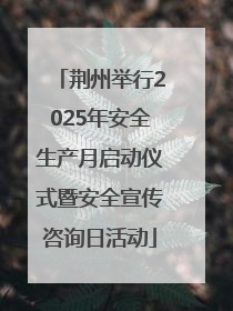 荆州举行2025年安全生产月启动仪式暨安全宣传咨询日活动