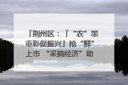 荆州区：「“农”墨重彩促振兴」抢“鲜”上市 “采摘经济”助农“甜蜜增收”