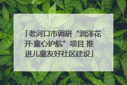 老河口市调研“润泽花开·童心护航”项目 推进儿童友好社区建设