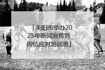 耒阳市举办2025年新闻宣传暨舆情应对培训班