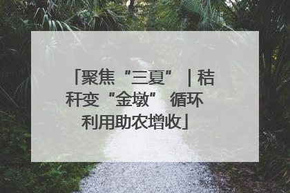 聚焦“三夏”｜秸秆变“金墩” 循环利用助农增收