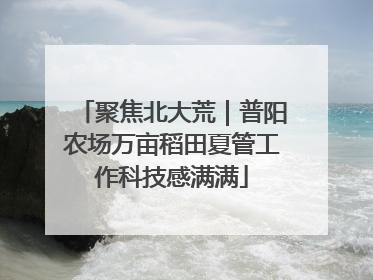聚焦北大荒｜普阳农场万亩稻田夏管工作科技感满满
