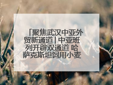 聚焦武汉中亚外贸新通道│中亚班列开辟双通道 哈萨克斯坦饲用小麦将抵鄂
