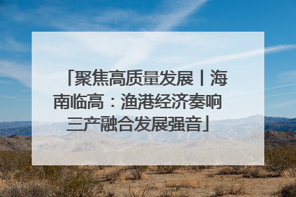 聚焦高质量发展丨海南临高：渔港经济奏响三产融合发展强音