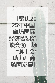 聚焦2025年中国·廊坊国际经济贸易洽谈会③一场“链主会” 助力厂商破圈发展
