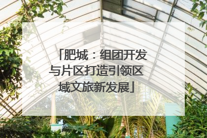 肥城：组团开发与片区打造引领区域文旅新发展