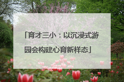 育才三小：以沉浸式游园会构建心育新样态