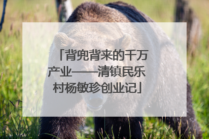 背兜背来的千万产业——清镇民乐村杨敏珍创业记