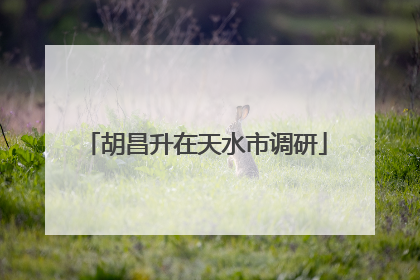胡昌升在天水市调研
