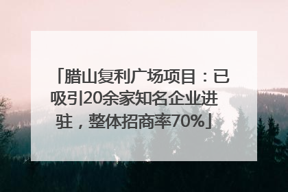 腊山复利广场项目：已吸引20余家知名企业进驻，整体招商率70%
