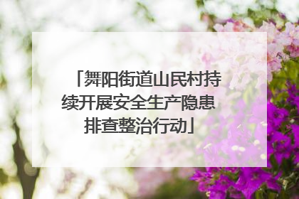 舞阳街道山民村持续开展安全生产隐患排查整治行动