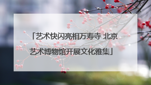 艺术快闪亮相万寿寺 北京艺术博物馆开展文化雅集