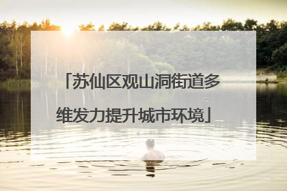 苏仙区观山洞街道多维发力提升城市环境