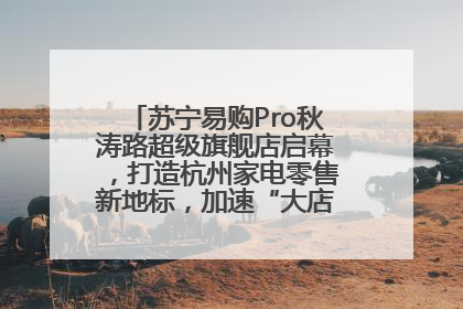 苏宁易购Pro秋涛路超级旗舰店启幕，打造杭州家电零售新地标，加速“大店攻略”全省布局