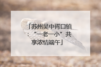 苏州吴中胥口镇：“一老一小”共享浓情端午