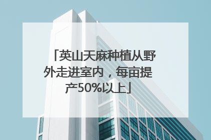 英山天麻种植从野外走进室内，每亩提产50%以上