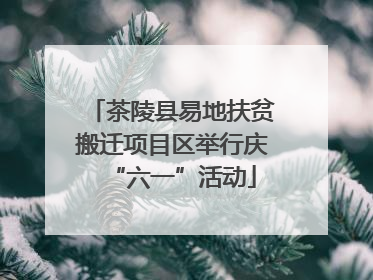 茶陵县易地扶贫搬迁项目区举行庆“六一”活动