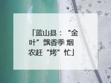 蓝山县：“金叶”飘香季 烟农赶“烤”忙