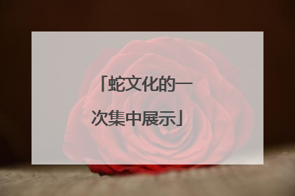 蛇文化的一次集中展示