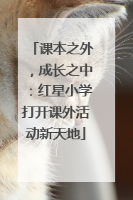 课本之外，成长之中：红星小学打开课外活动新天地