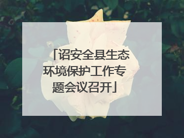诏安全县生态环境保护工作专题会议召开