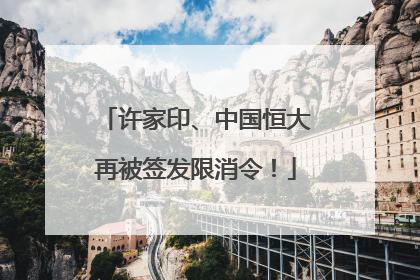许家印、中国恒大再被签发限消令！