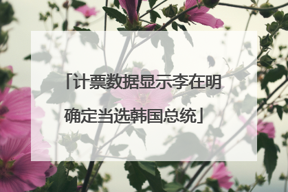 计票数据显示李在明确定当选韩国总统
