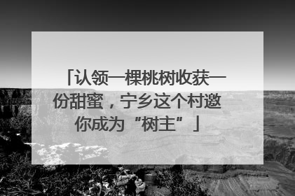 认领一棵桃树收获一份甜蜜，宁乡这个村邀你成为“树主”