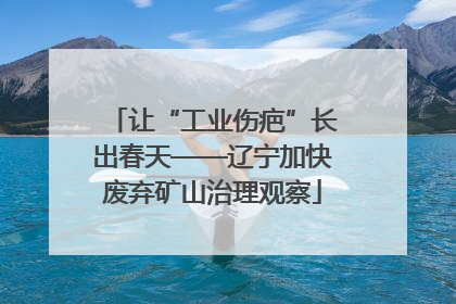 让“工业伤疤”长出春天——辽宁加快废弃矿山治理观察