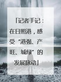 记者手记：在日照港，感受“港强、产旺、城绿”的发展脉动