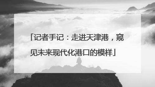记者手记：走进天津港，窥见未来现代化港口的模样