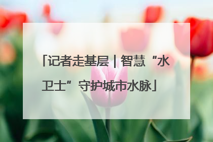 记者走基层｜智慧“水卫士”守护城市水脉