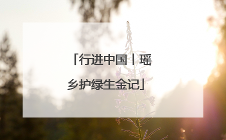 行进中国丨瑶乡护绿生金记