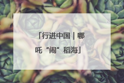 行进中国｜哪吒“闹”稻海
