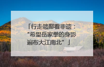 行走赣鄱看非遗：“希望岳家拳的身影遍布大江南北”