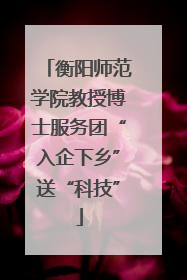 衡阳师范学院教授博士服务团“入企下乡”送“科技”