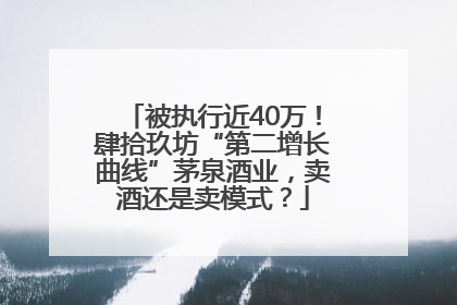 被执行近40万！肆拾玖坊“第二增长曲线”茅泉酒业，卖酒还是卖模式？