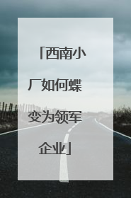 西南小厂如何蝶变为领军企业