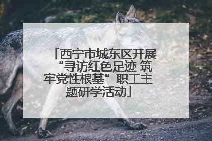 西宁市城东区开展“寻访红色足迹 筑牢党性根基”职工主题研学活动