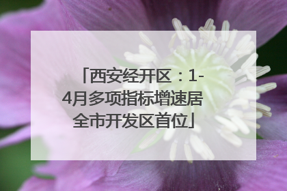 西安经开区：1-4月多项指标增速居全市开发区首位