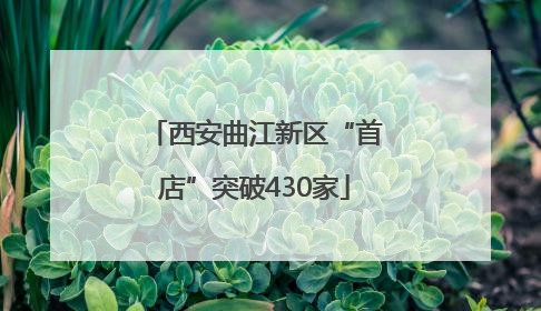 西安曲江新区“首店”突破430家