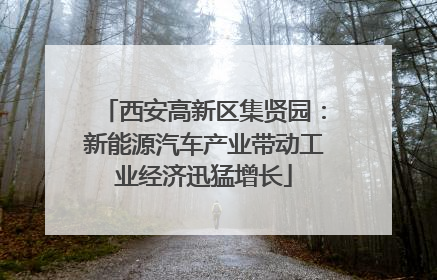 西安高新区集贤园：新能源汽车产业带动工业经济迅猛增长