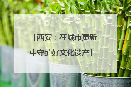 西安：在城市更新中守护好文化遗产