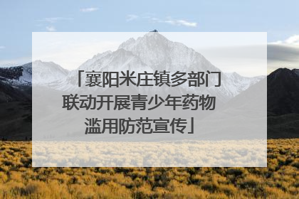 襄阳米庄镇多部门联动开展青少年药物滥用防范宣传