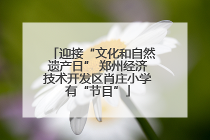 迎接“文化和自然遗产日” 郑州经济技术开发区肖庄小学有“节目”